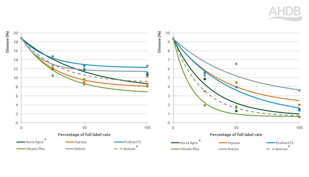 Net blotch disease fungicide performance response chart 2024